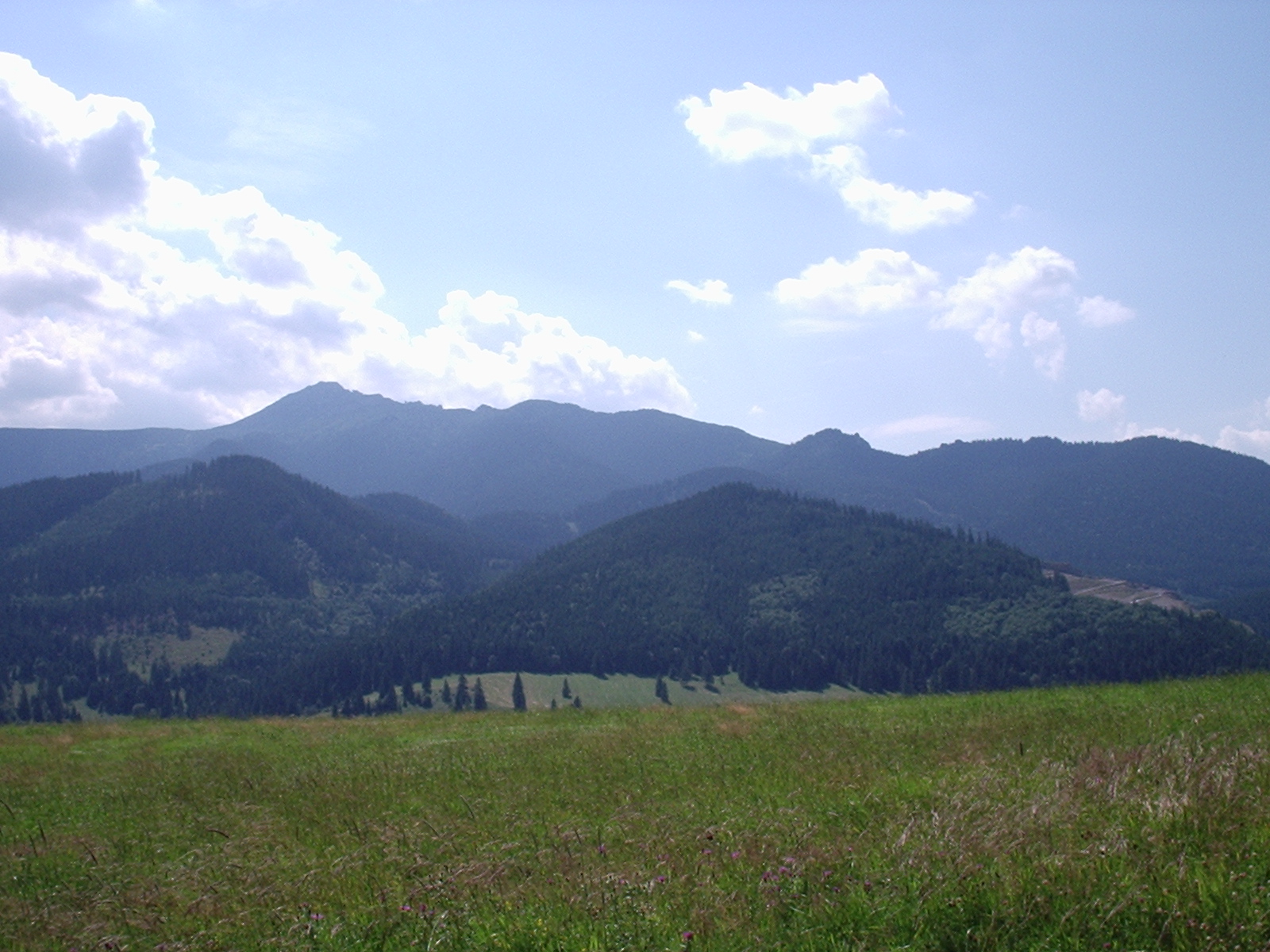 P1081527.JPG