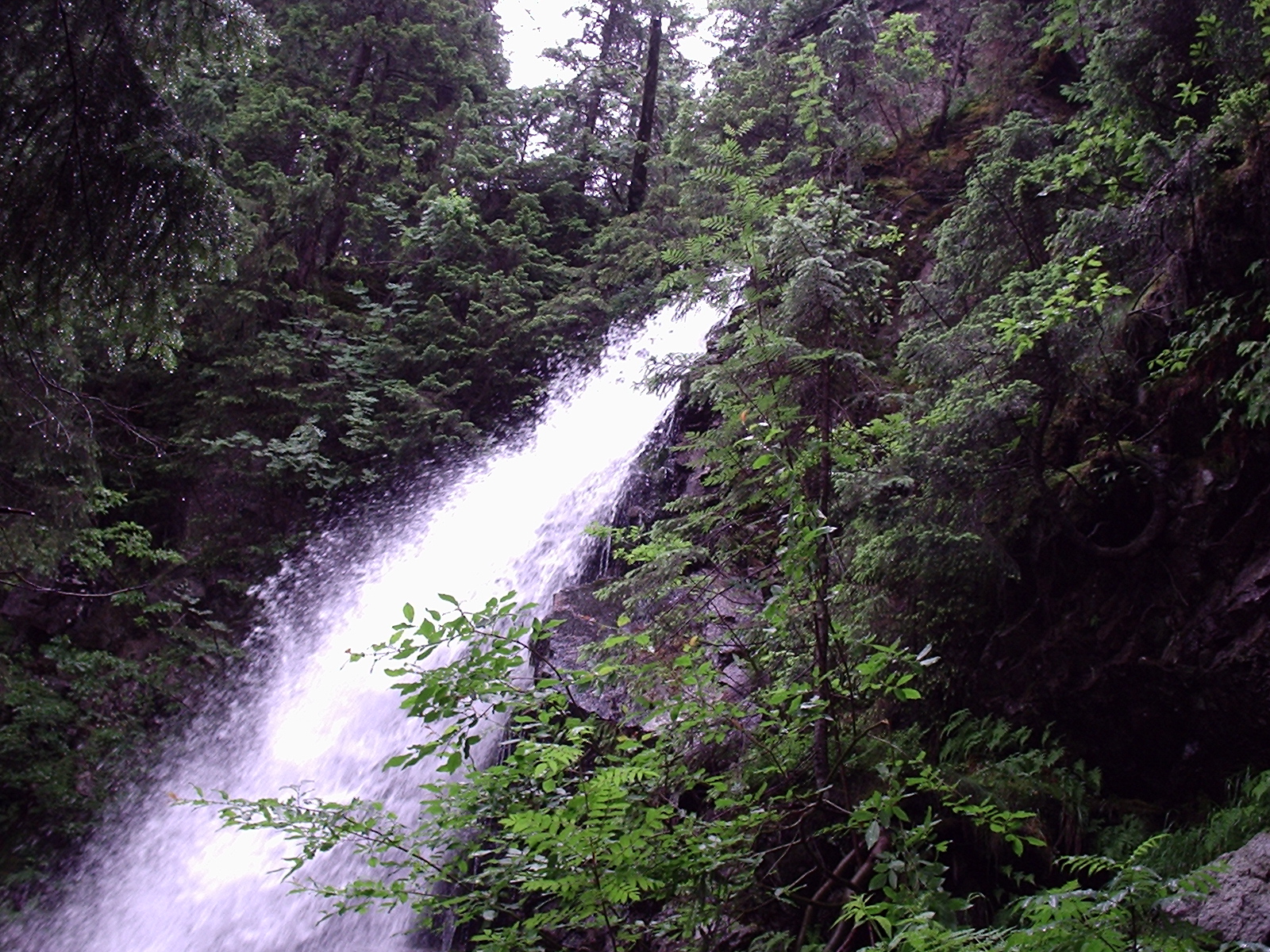 P1111639.JPG