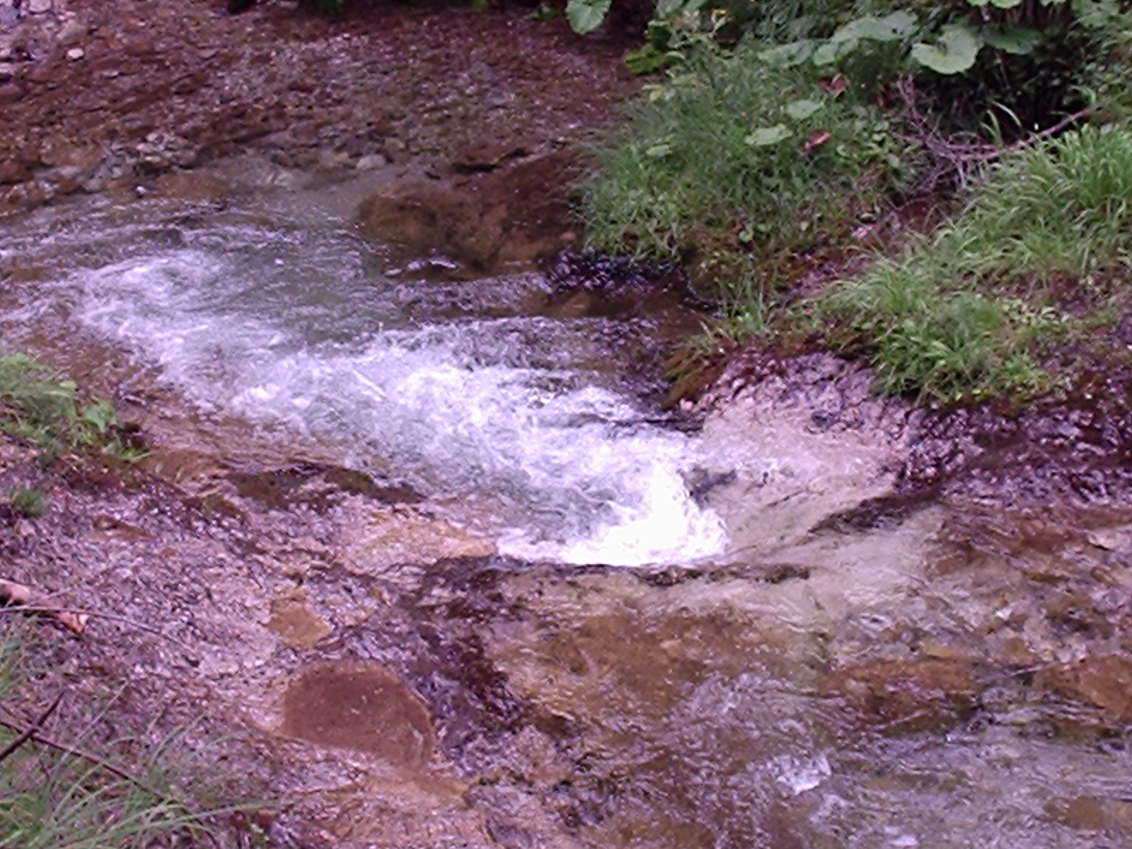 P1121715.JPG
